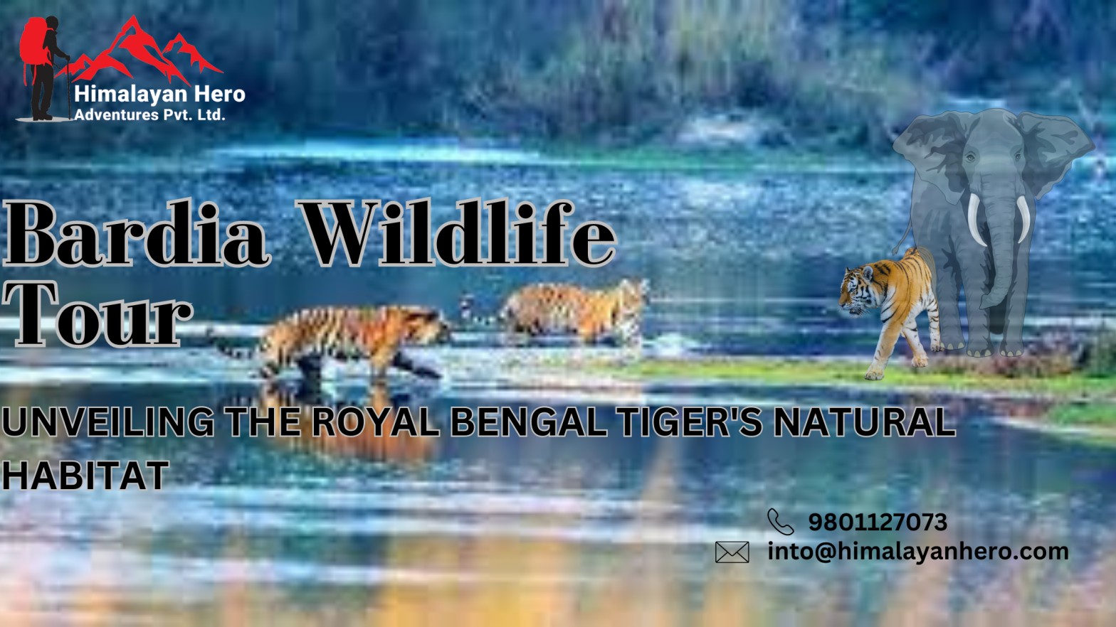 Roaring Adventure: Bardia Wildlife Tour- Unveiling the Royal Bengal Tiger's Natural Habitat